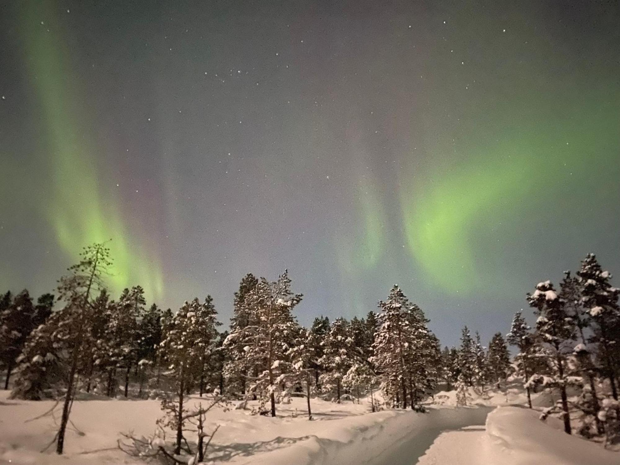 Malangen Lodge Mestervik Zewnętrze zdjęcie