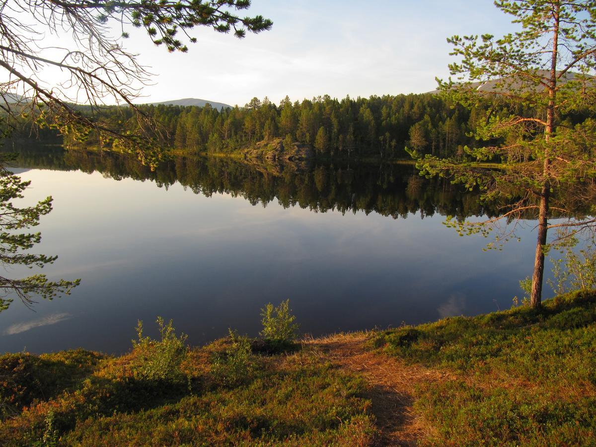 Malangen Lodge Mestervik Zewnętrze zdjęcie