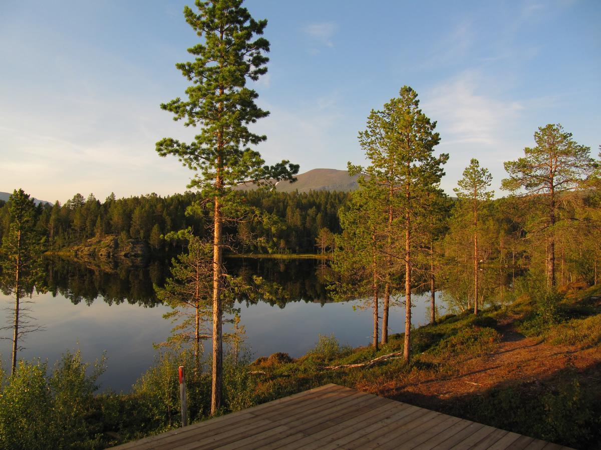 Malangen Lodge Mestervik Zewnętrze zdjęcie