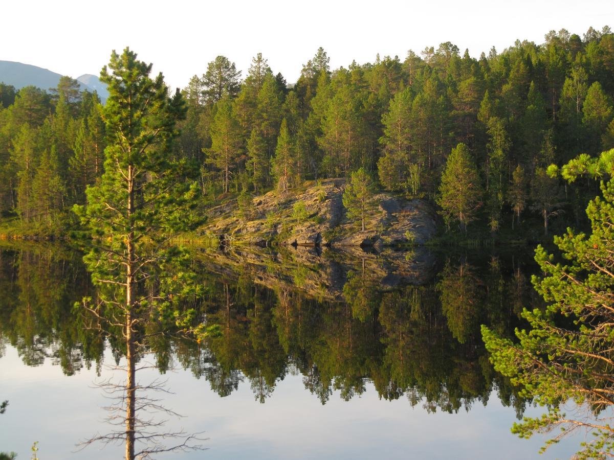 Malangen Lodge Mestervik Zewnętrze zdjęcie