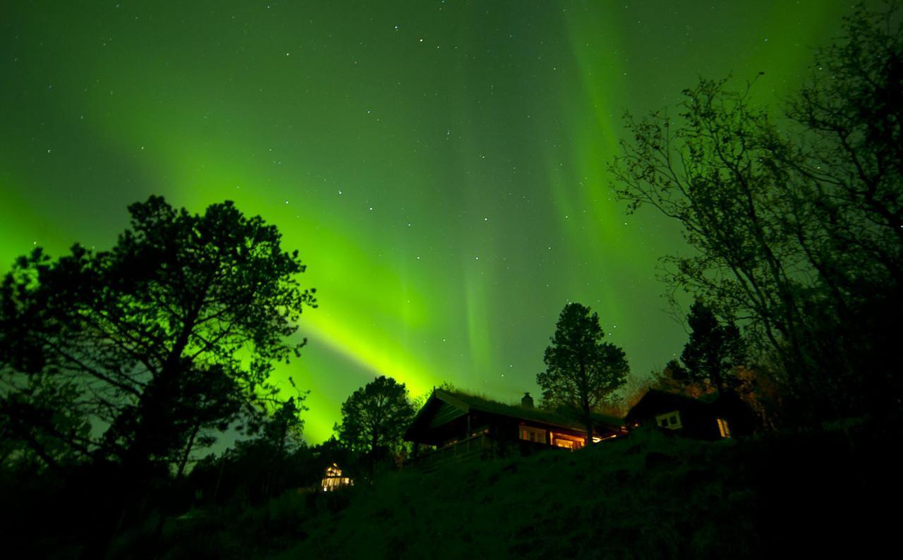 Malangen Lodge Mestervik Zewnętrze zdjęcie