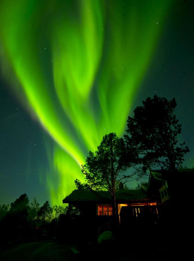 Malangen Lodge Mestervik Zewnętrze zdjęcie