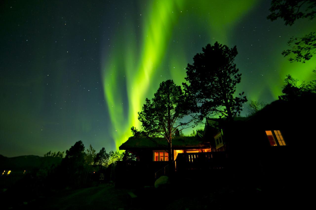 Malangen Lodge Mestervik Zewnętrze zdjęcie