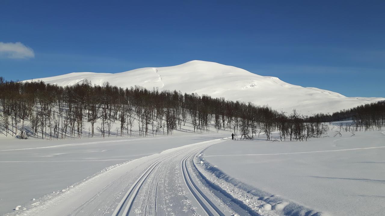 Malangen Lodge Mestervik Zewnętrze zdjęcie